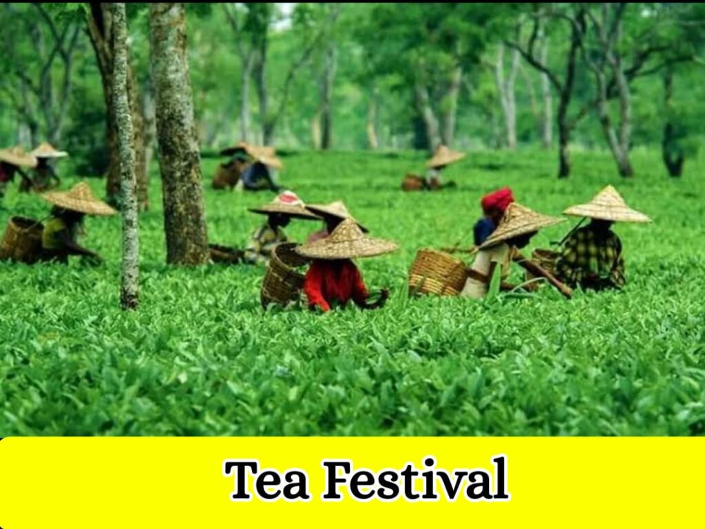 Tea Festival of assam In hindi