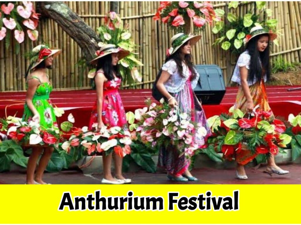 Anthurium Festival in hindi. Festivals of Mizoram in hindi..