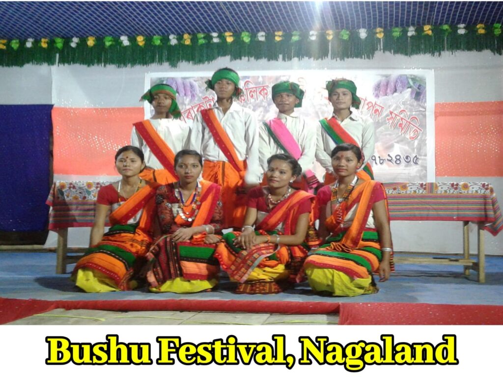 bushu festival of nagaland in hindi