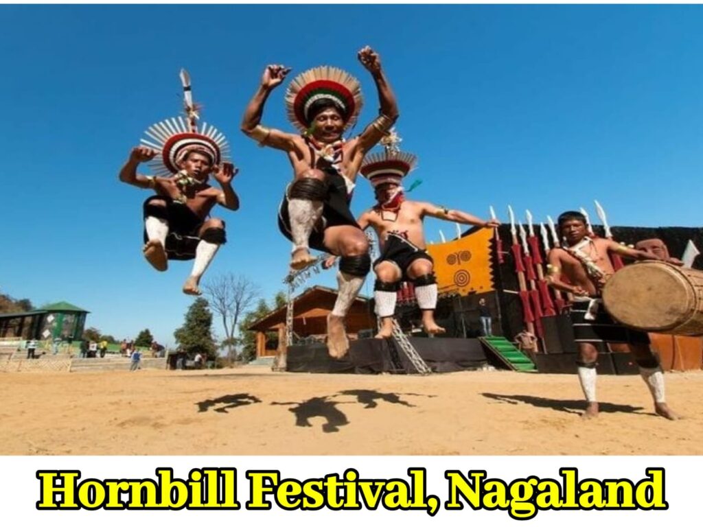 Hornbill festival of nagaland 