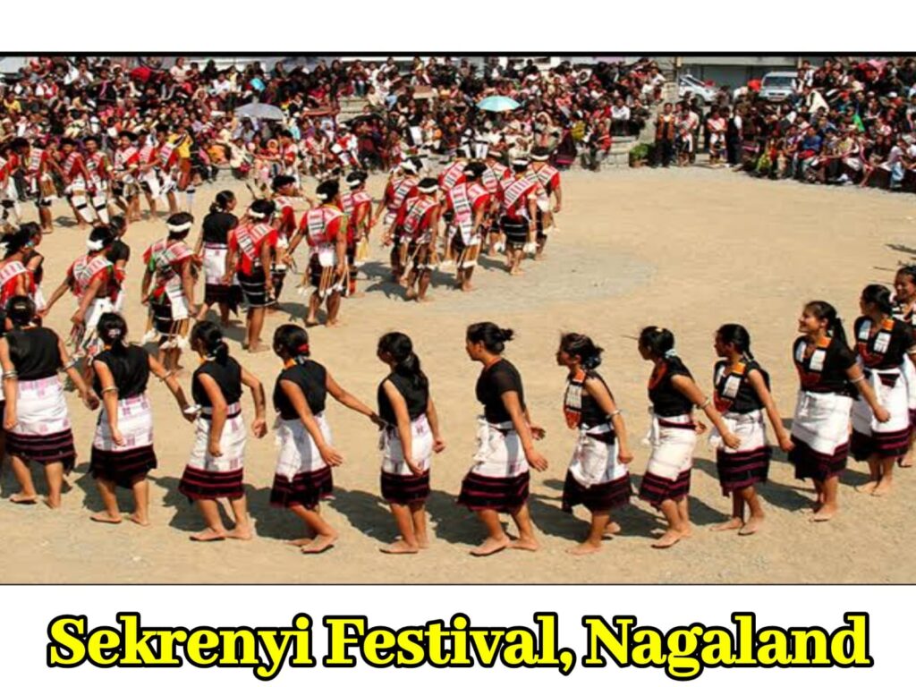 sekrenyi festival of nagaland in hindi